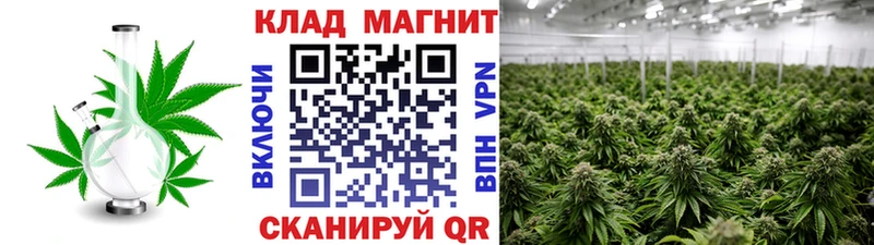 Купить наркотик Сенгилей Alpha PVP  Амфетамин  Каннабис  БУТИРАТ  МЕФ  Галлюциногенные грибы 
