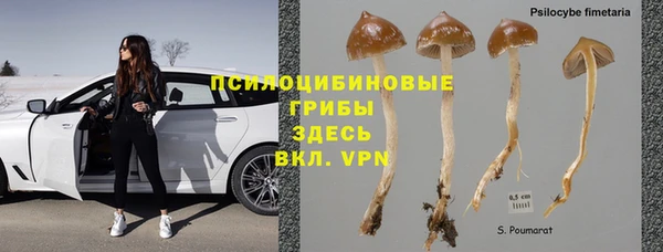 PSILOCYBIN Саяногорск