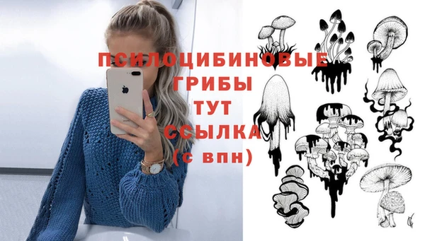 первитин Алексеевка